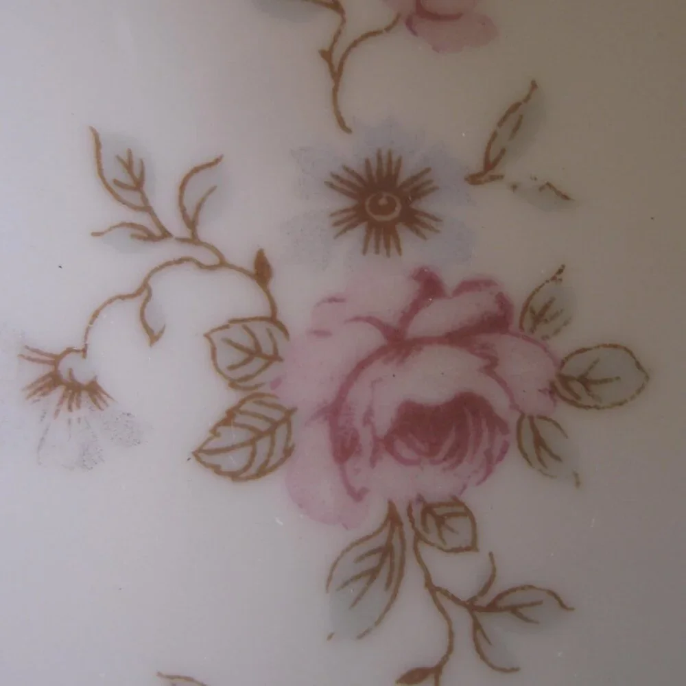7  Virginia Rose Homer Laughlin Dishes